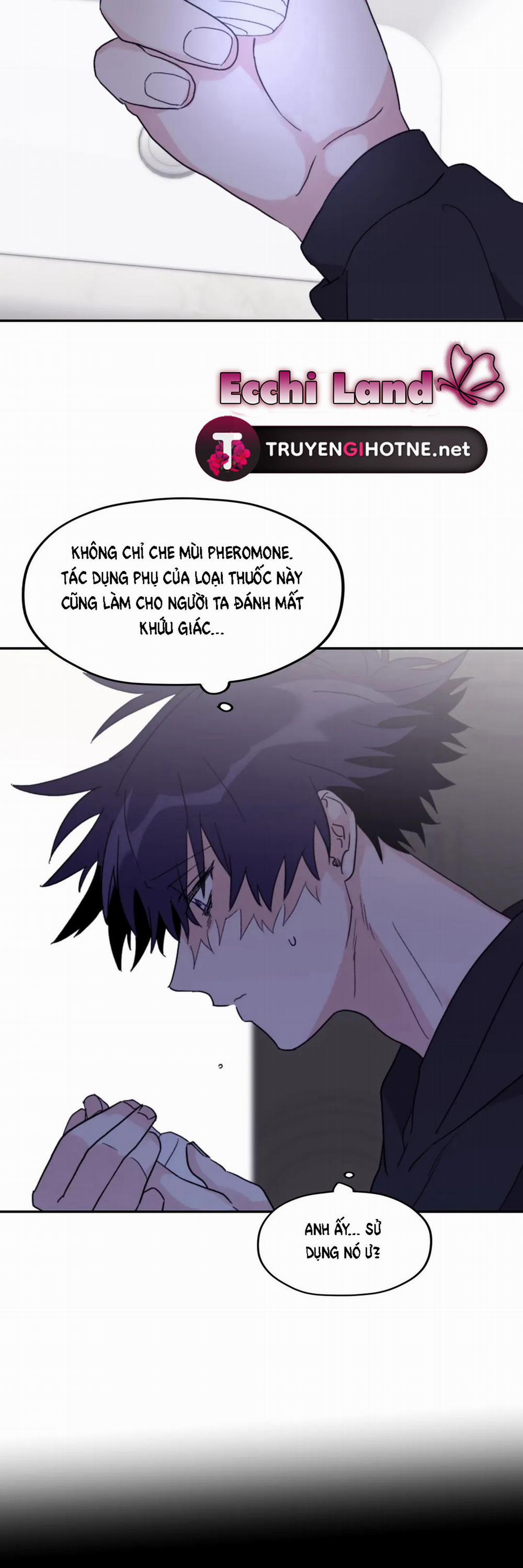 Sóng Tìm Em 41.2 trang 12