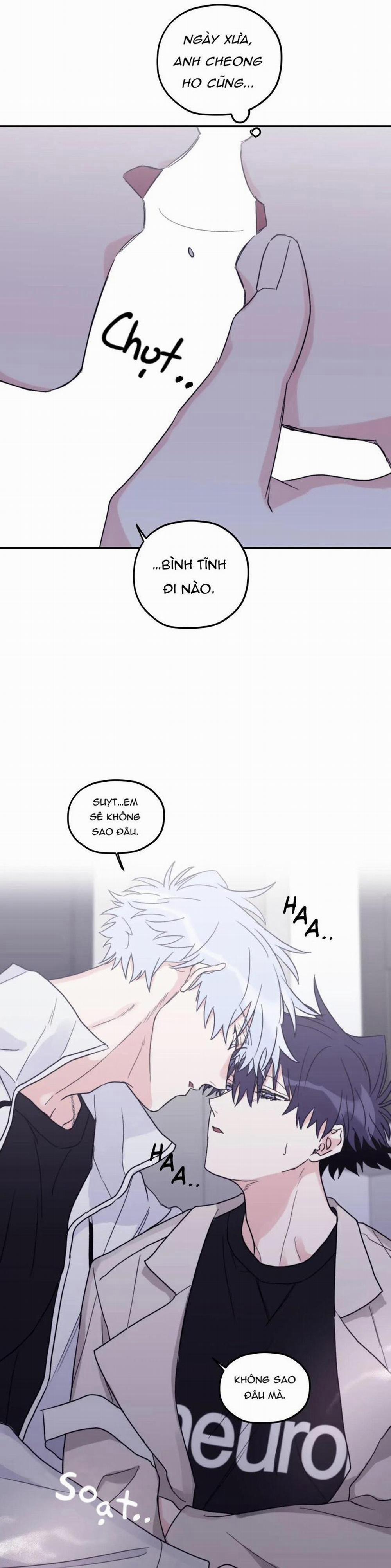 Sóng Tìm Em 41 trang 4