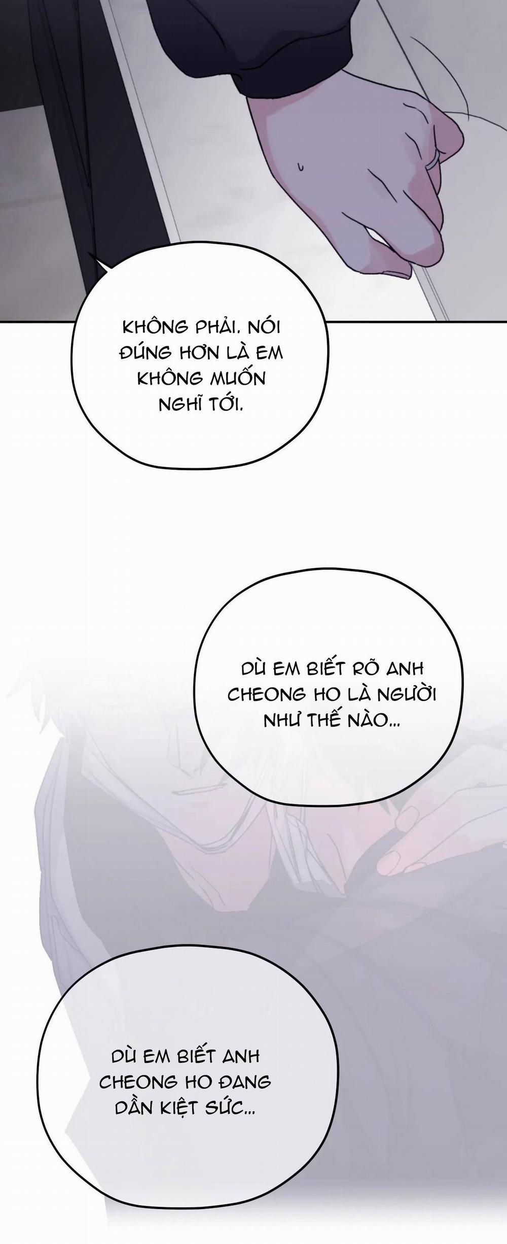 Sóng Tìm Em 43 trang 11