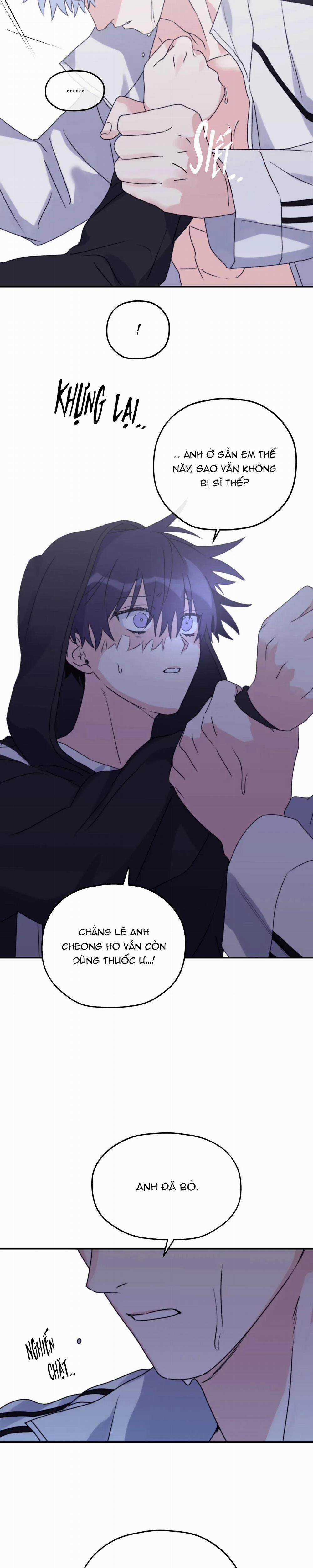 Sóng Tìm Em 48 trang 21