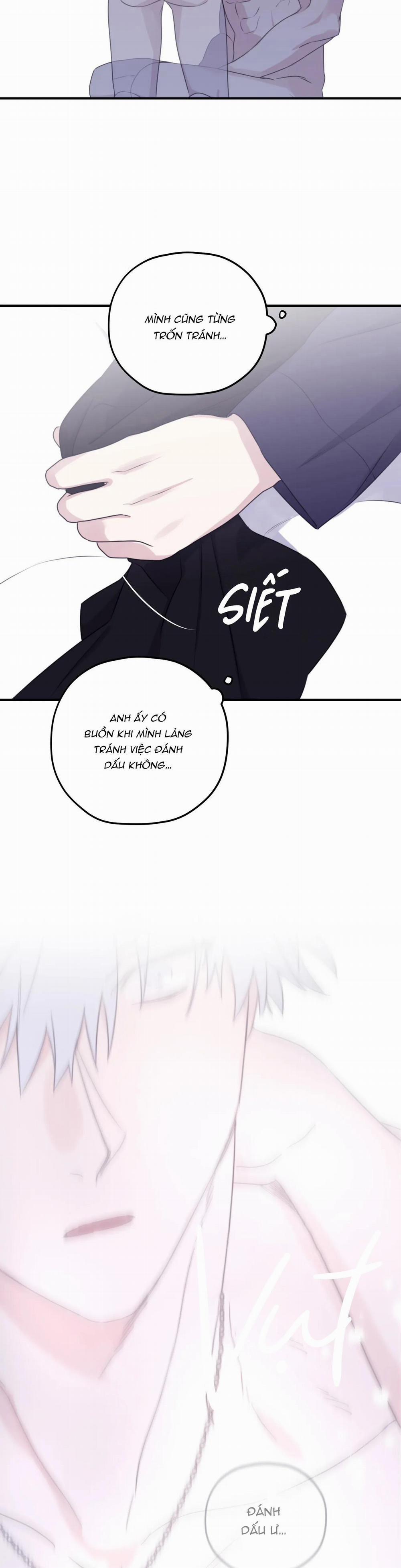 Sóng Tìm Em 54 Ngoại truyện 4 trang 24