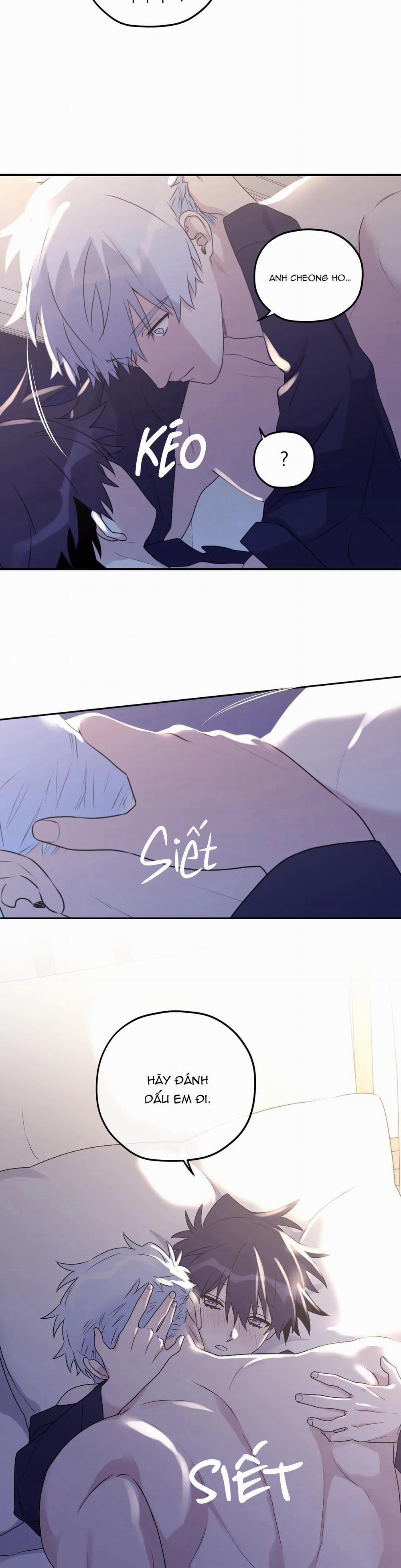Sóng Tìm Em 54 trang 15