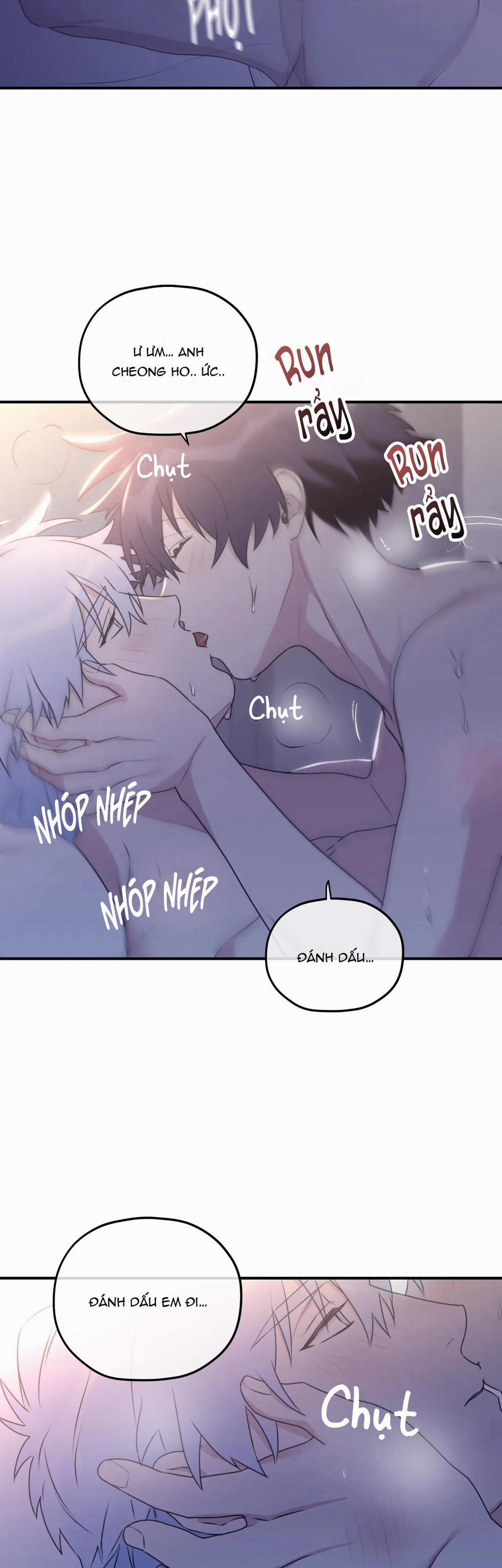 Sóng Tìm Em 55 trang 19