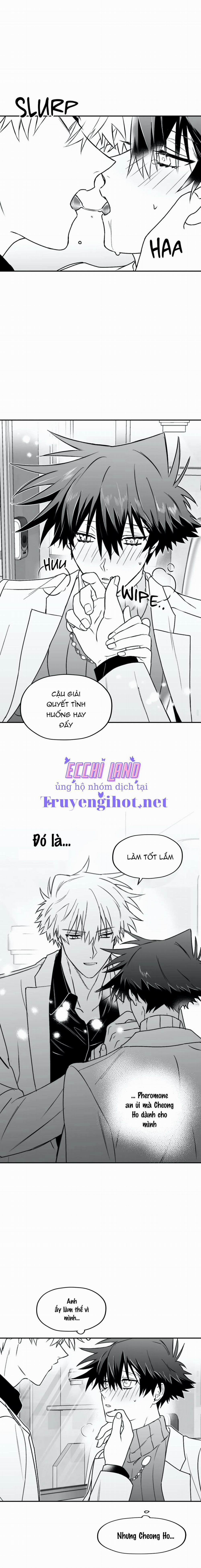 Sóng Tìm Em 8.2 trang 4