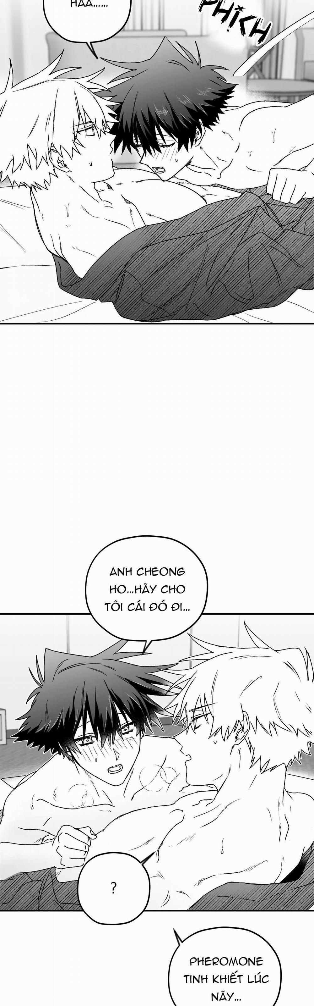 Sóng Tìm Em 9 trang 37