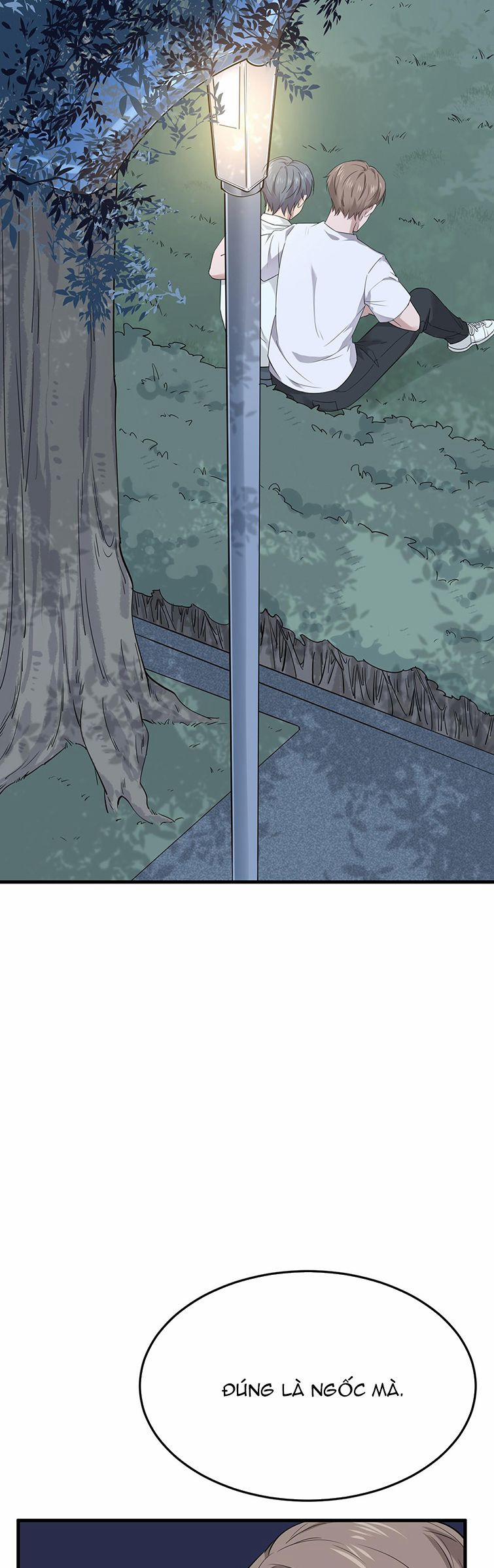 Song Trình 14 trang 29