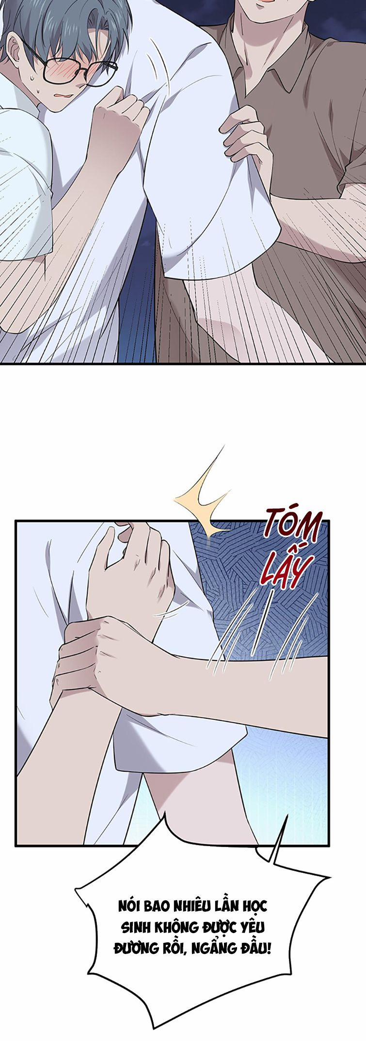 Song Trình 15 trang 3