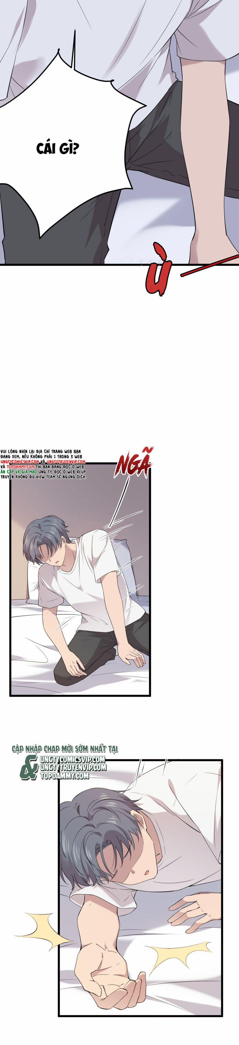 Song Trình 17 trang 6