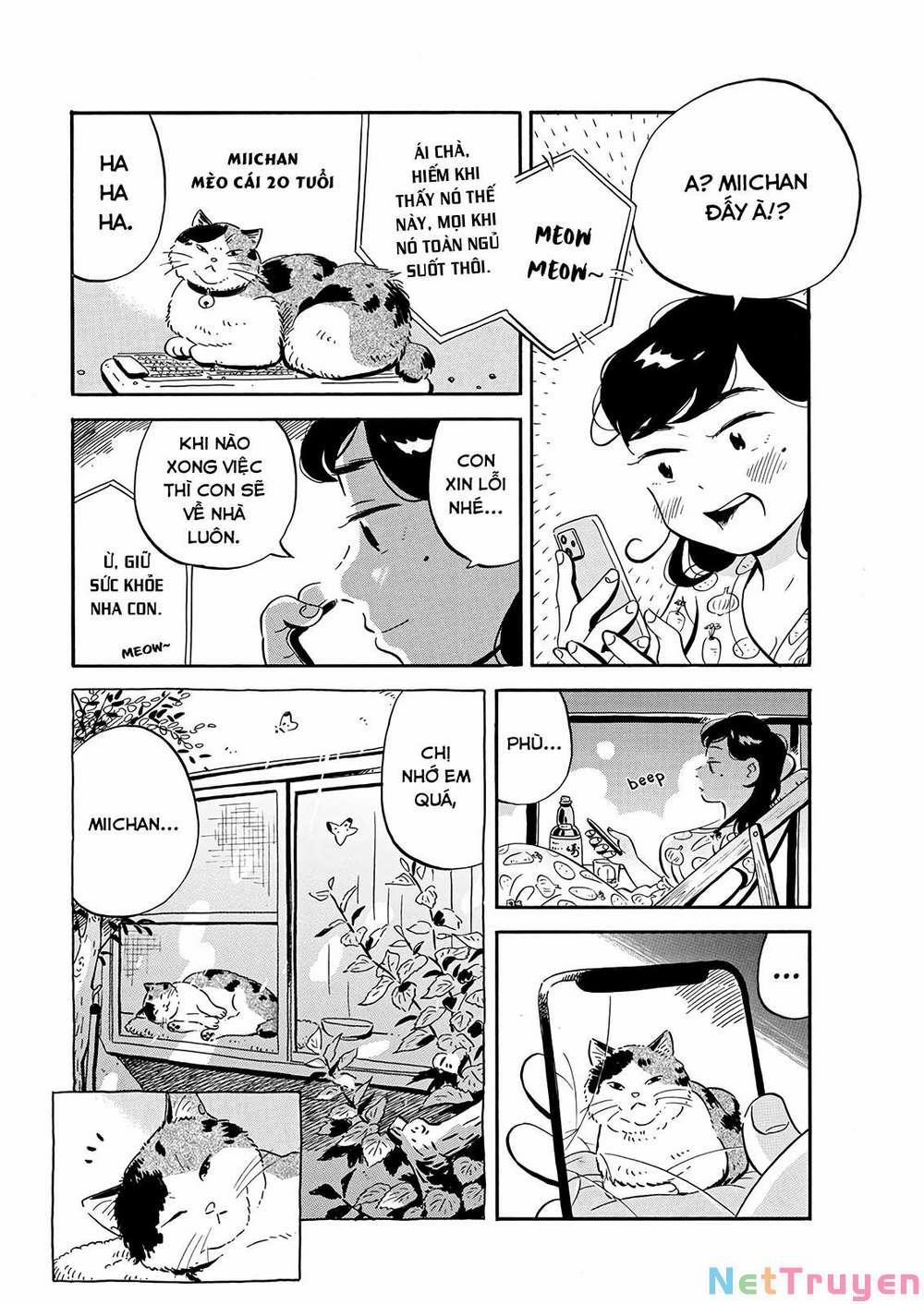 Sống Trong Ngôi Nhà Cấp 4 13 trang 6