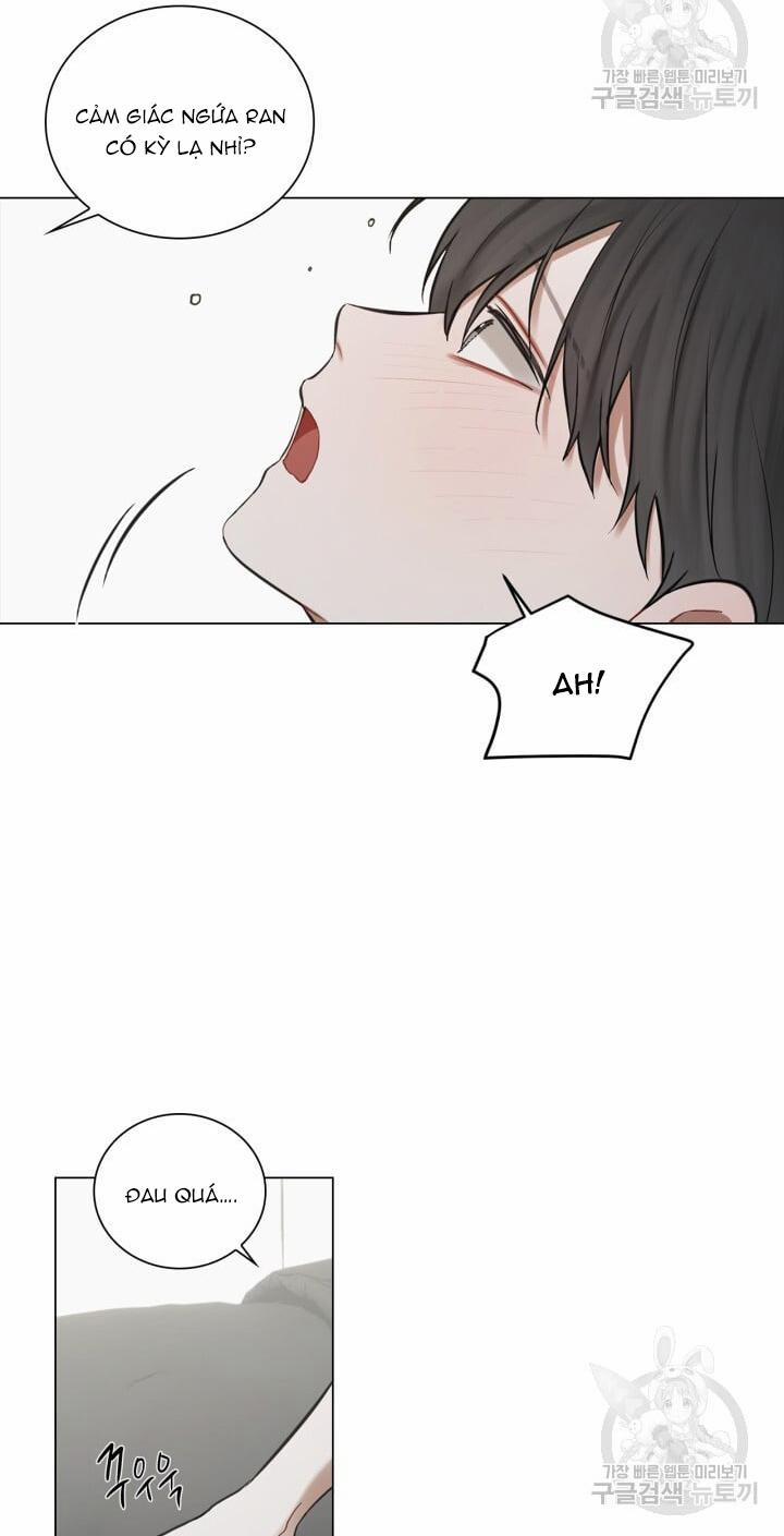 Song Trùng 29 trang 33