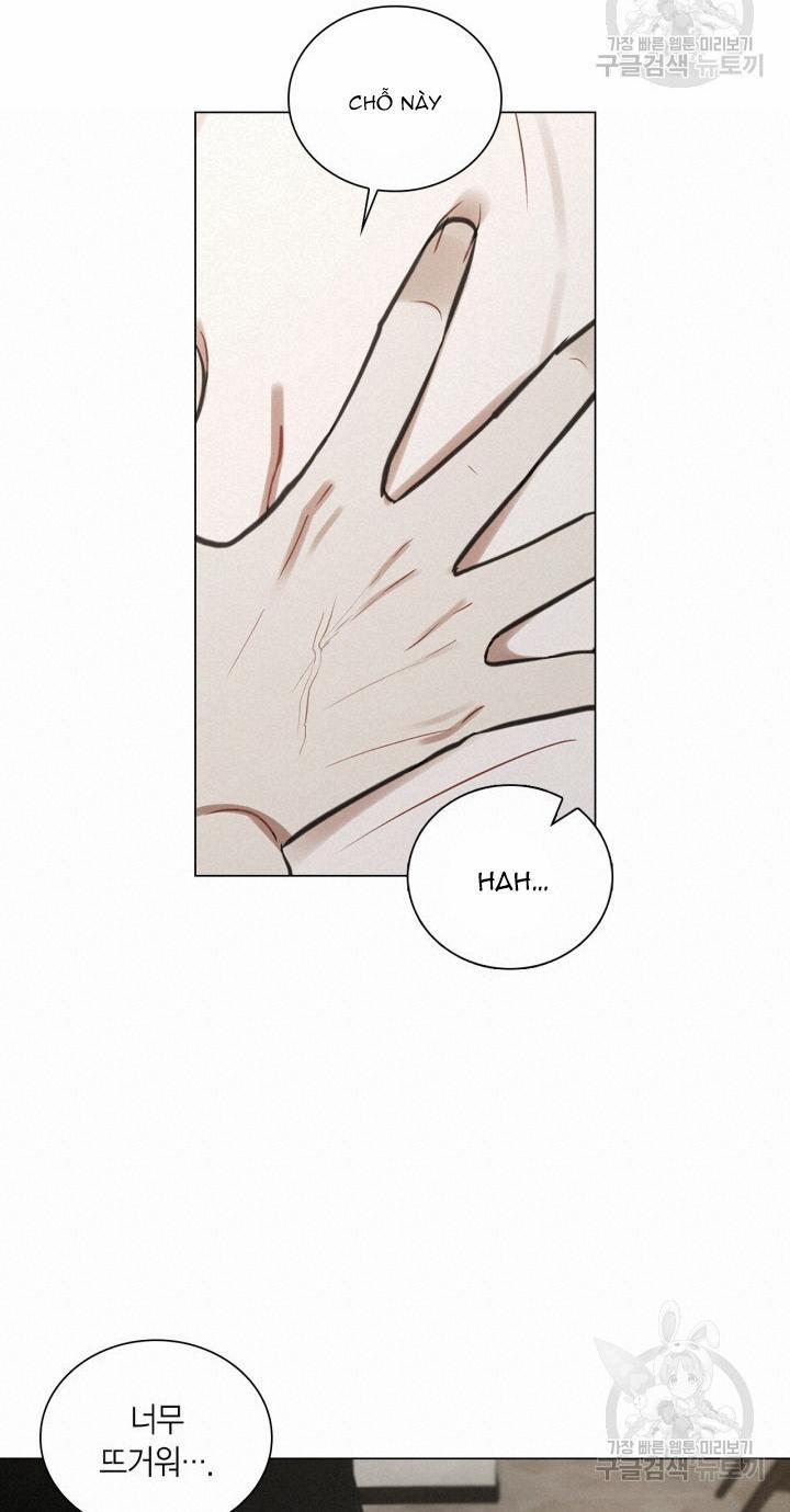 Song Trùng 29 trang 47