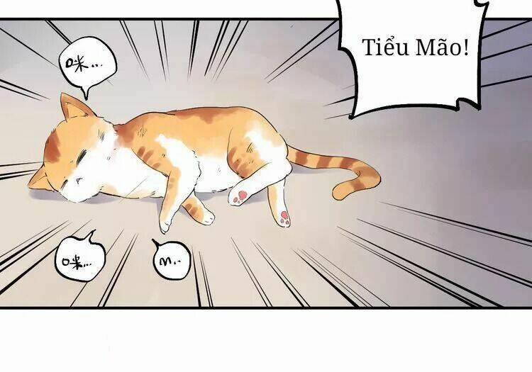 Sos! Tôi Đã Yêu Một Con Sâu Bướm 11 trang 19