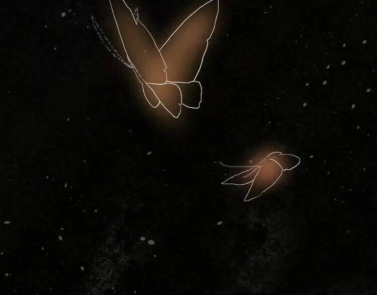 Sos! Tôi Đã Yêu Một Con Sâu Bướm 12 trang 22