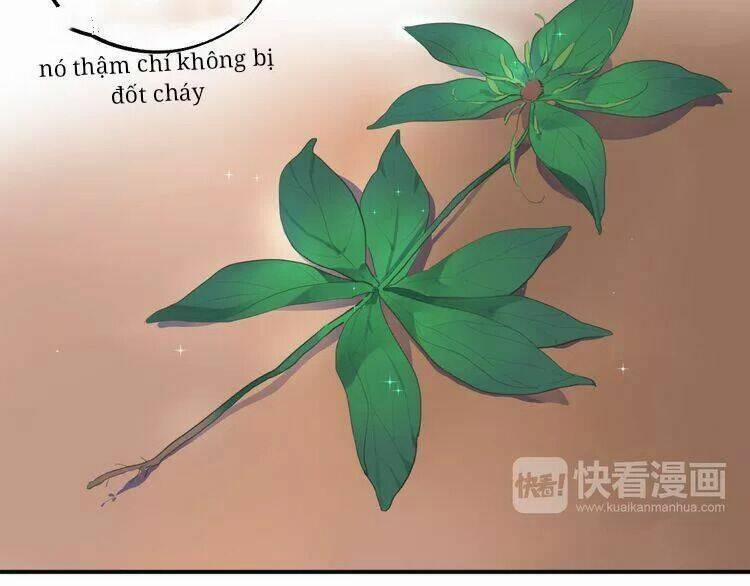 Sos! Tôi Đã Yêu Một Con Sâu Bướm 13 trang 44