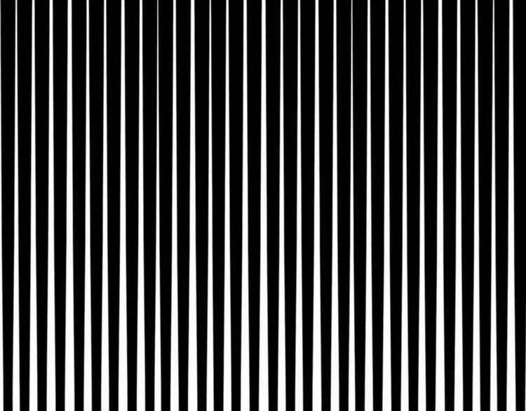 Sos! Tôi Đã Yêu Một Con Sâu Bướm 16 trang 65