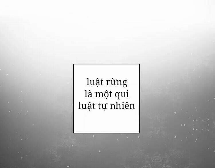 Sos! Tôi Đã Yêu Một Con Sâu Bướm 27 trang 31