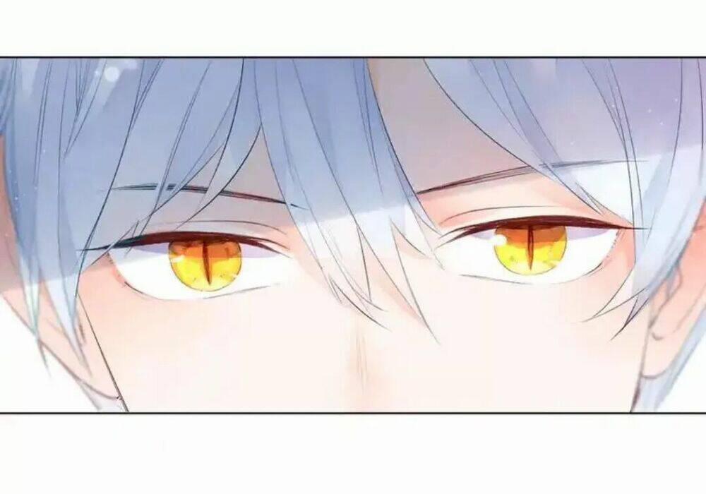 Sos! Tôi Đã Yêu Một Con Sâu Bướm 39 trang 14