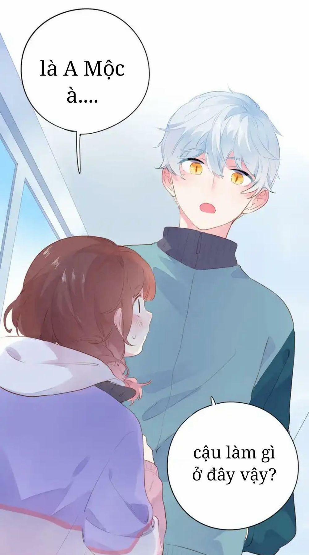 Sos! Tôi Đã Yêu Một Con Sâu Bướm 49 trang 14