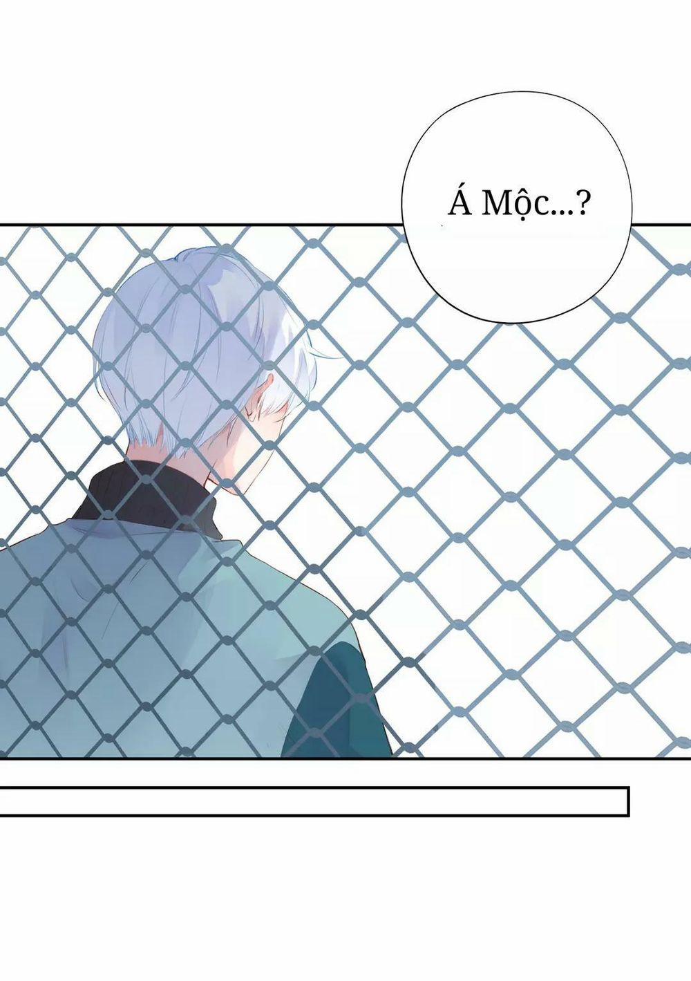 Sos! Tôi Đã Yêu Một Con Sâu Bướm 51 trang 24