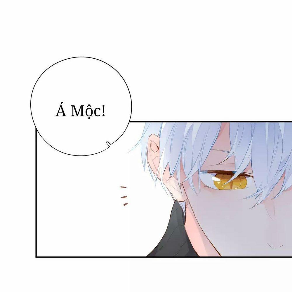 Sos! Tôi Đã Yêu Một Con Sâu Bướm 51 trang 25