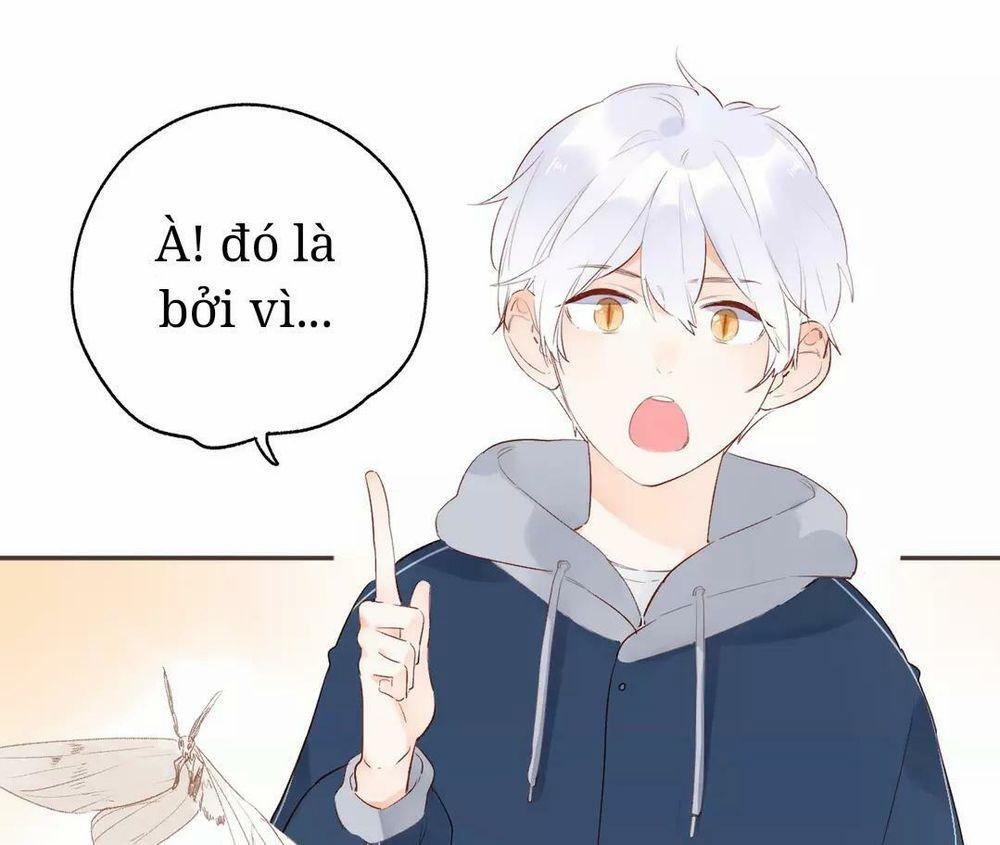 Sos! Tôi Đã Yêu Một Con Sâu Bướm 52 trang 17