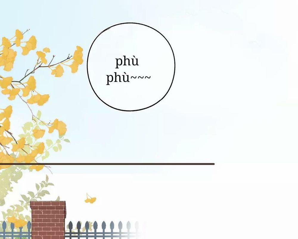 Sos! Tôi Đã Yêu Một Con Sâu Bướm 52 trang 2