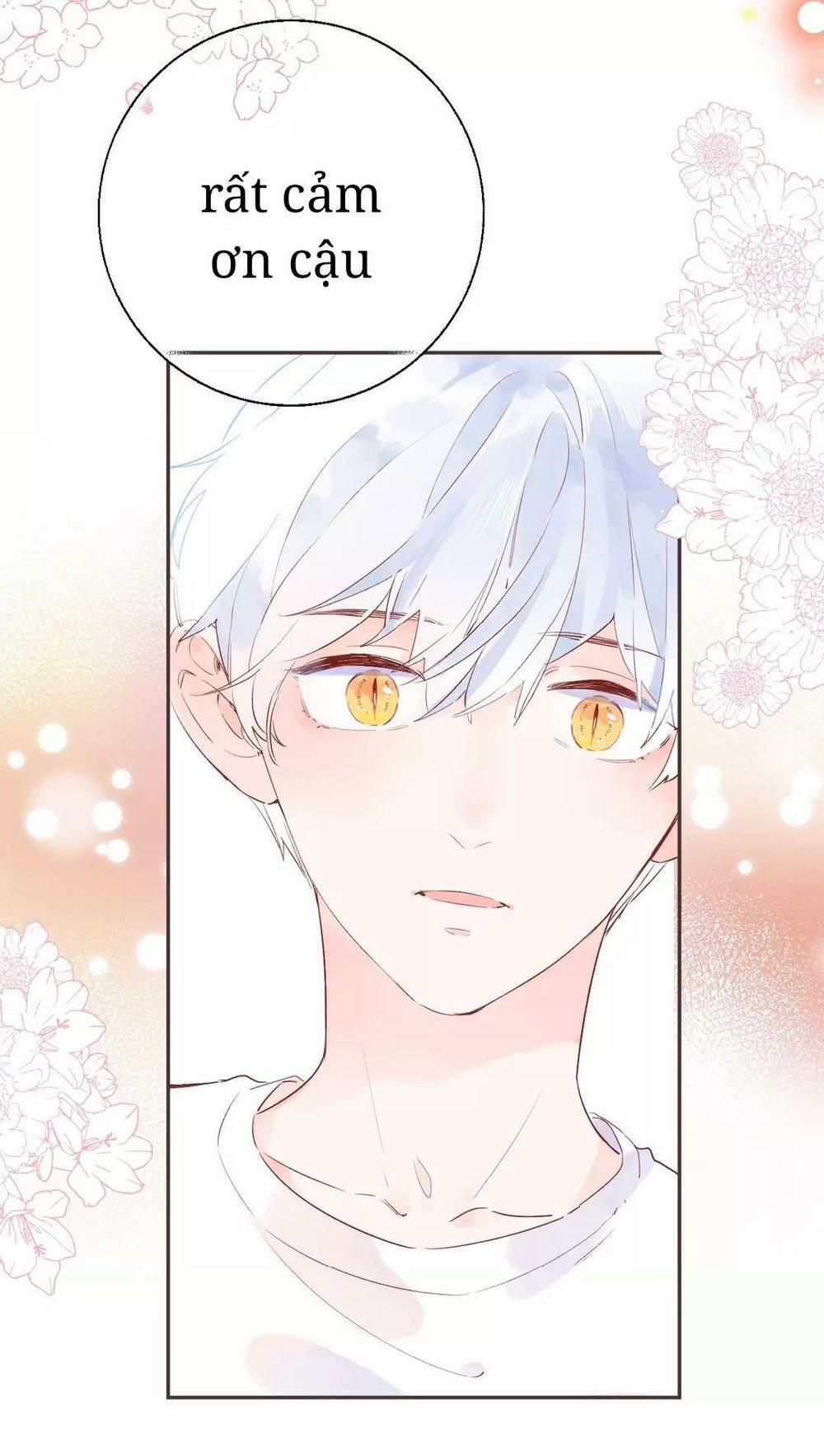 Sos! Tôi Đã Yêu Một Con Sâu Bướm 53 trang 26