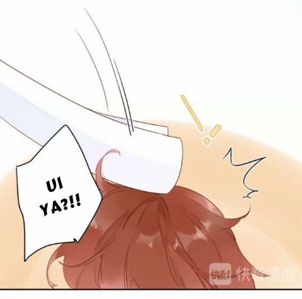 Sos! Tôi Đã Yêu Một Con Sâu Bướm 56 trang 11