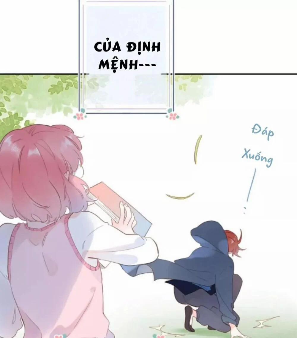 Sos! Tôi Đã Yêu Một Con Sâu Bướm 57 trang 9