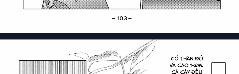 Sounan Desu Ka? 38 trang 16