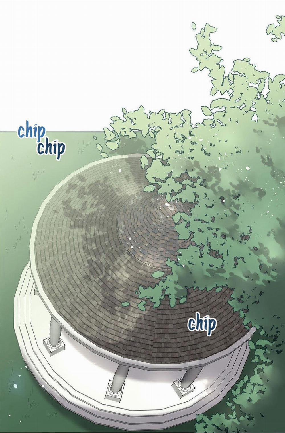 Spinel 10.1 trang 17