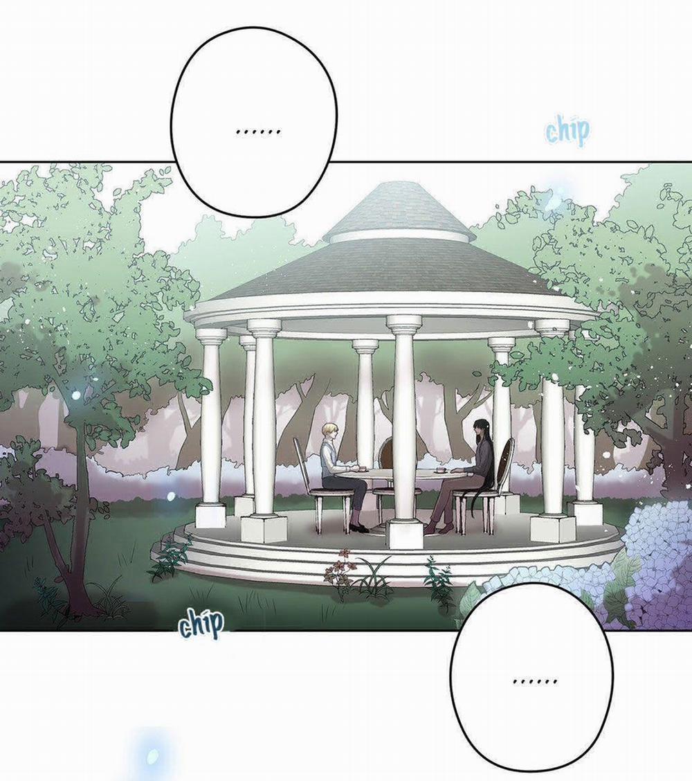 Spinel 10.1 trang 21