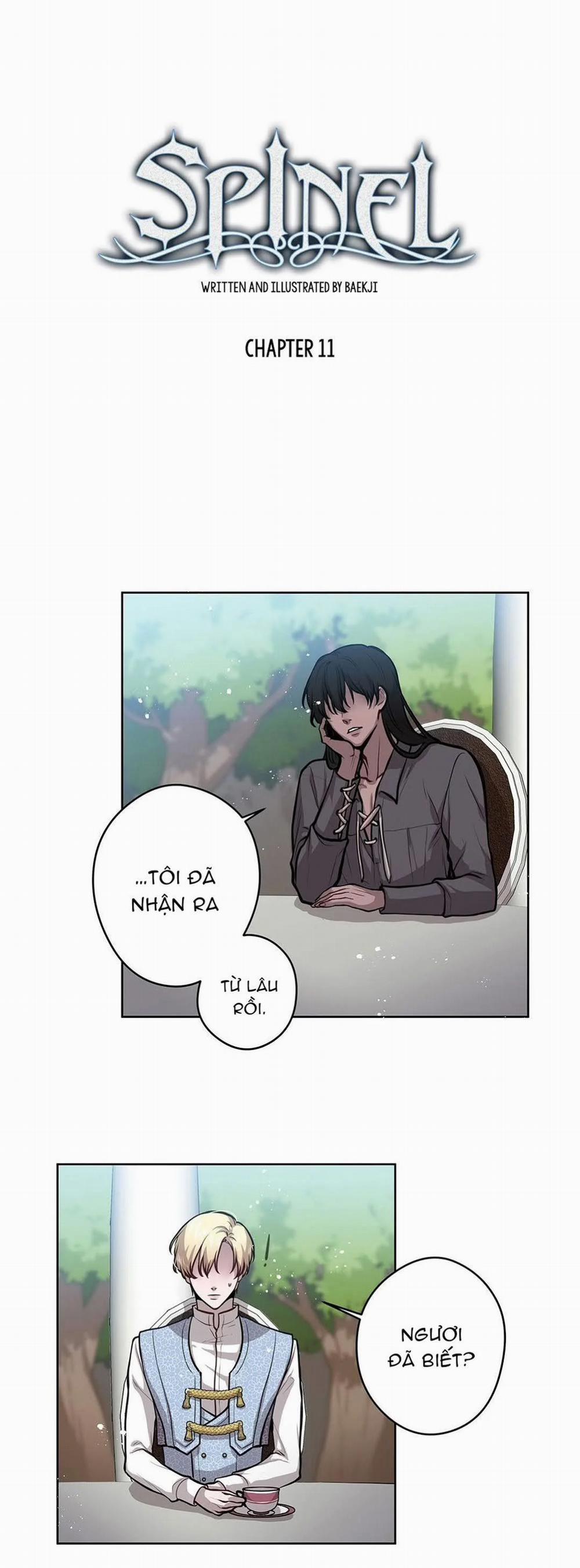 Spinel 11 trang 6