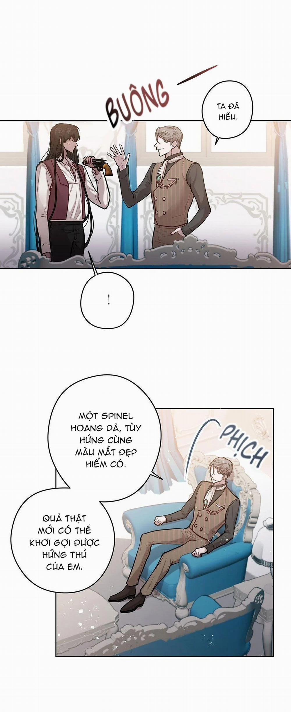 Spinel 13 trang 13