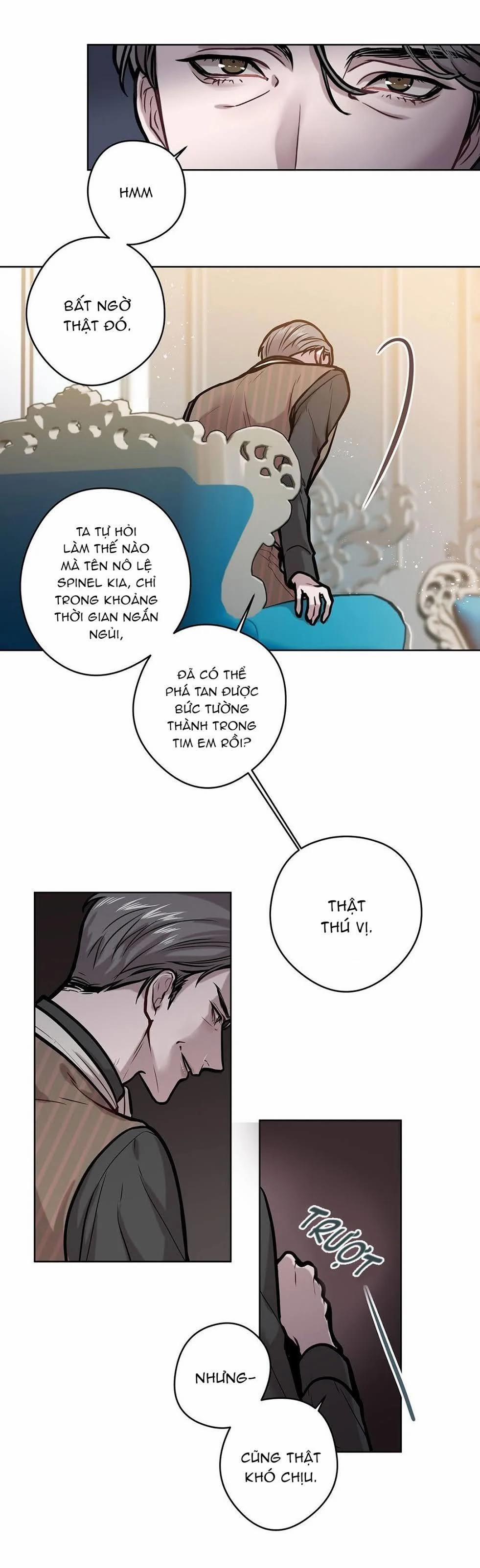 Spinel 13 trang 2