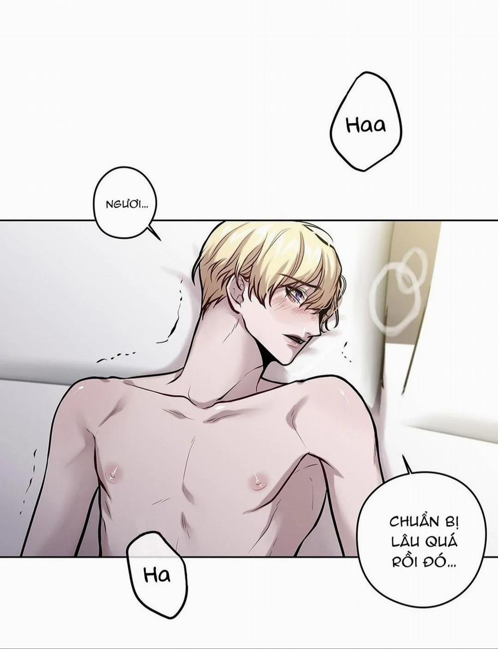 Spinel 15.1 trang 10