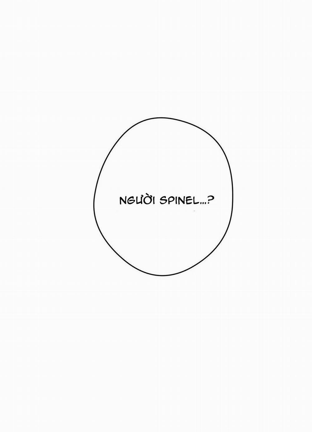 Spinel 16 trang 11
