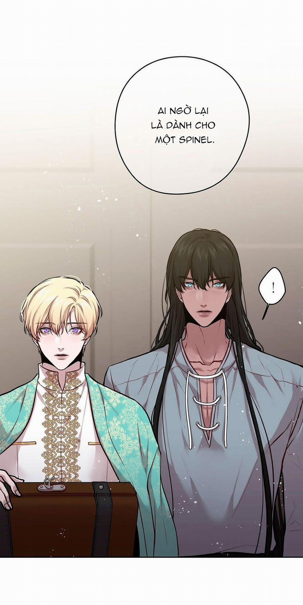Spinel 16 trang 21