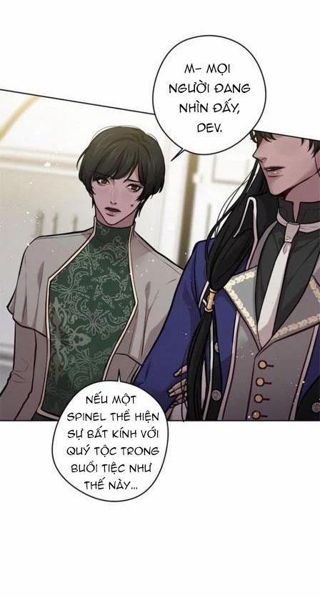 Spinel 17 trang 32
