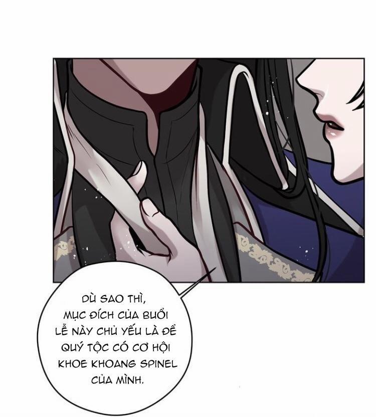 Spinel 17 trang 6