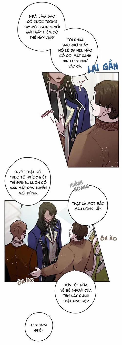Spinel 18 trang 5