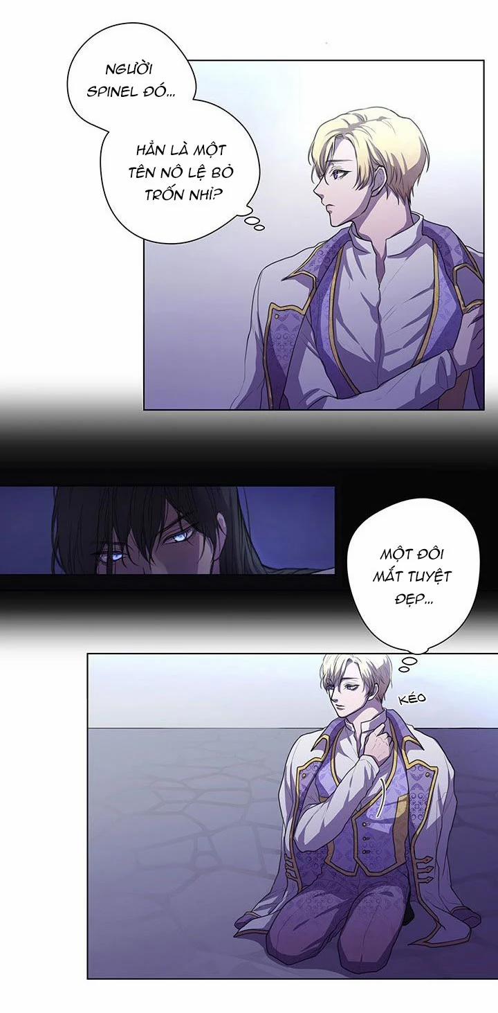 Spinel 2 trang 35