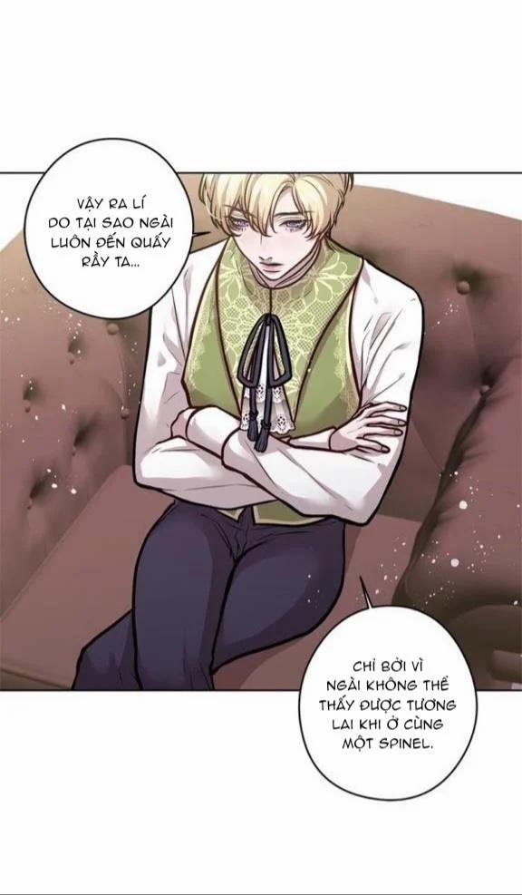 Spinel 20 trang 23