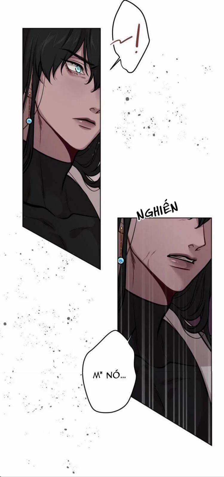 Spinel 21.1 trang 11