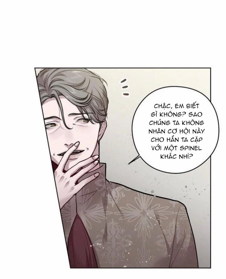 Spinel 21.1 trang 18