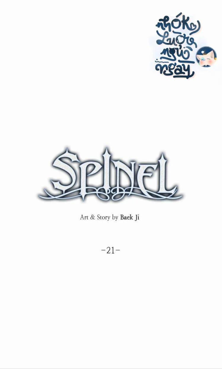Spinel 21.1 trang 6