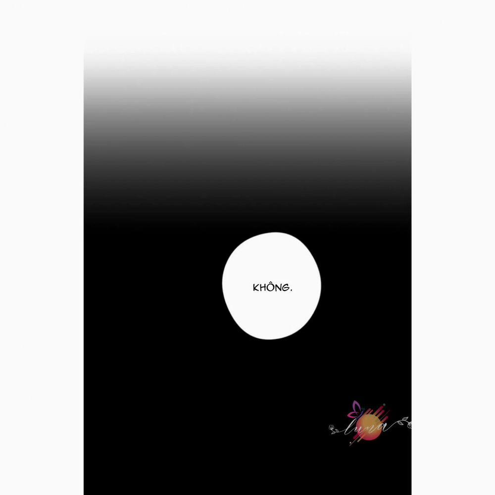 Spinel 22.2 trang 14