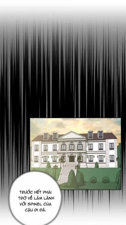 Spinel 24.1 trang 11