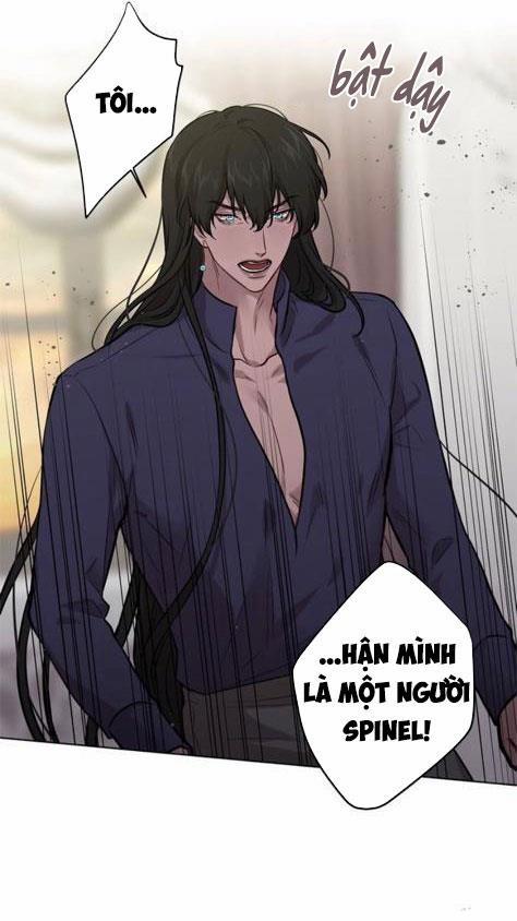 Spinel 24.2 trang 13
