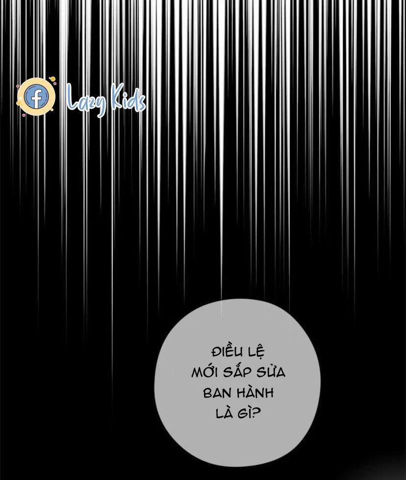 Spinel 24.2 trang 19